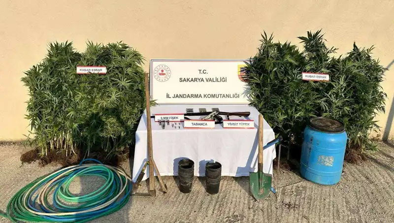 Sakarya’da Uyuşturucu Operasyonu: Narkotik Ekipleri Tekrar Sahada