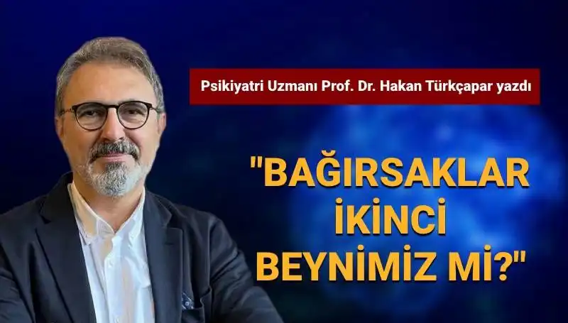 Bağırsakların Akıl Oyunları: Gerçekten İkinci Beyin Mi?