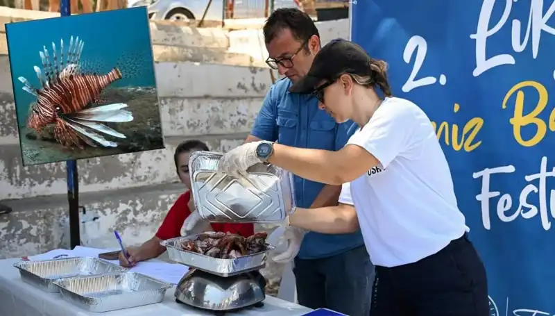 Antalya'da Aslan Balığı Avlama Yarışması: Denizlerin Kahramanları Yarışıyor!