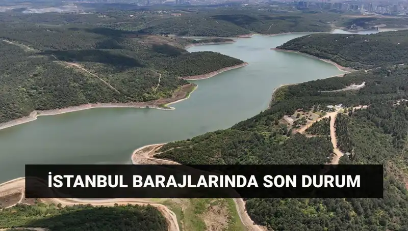 İstanbul'daki Barajlarda Doluluk Oranı Endişe Veriyor: İSKİ Verileri Ne Diyor?