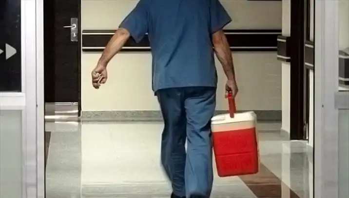 Organ Bağışında Yeni Dönem: e-Devlet ve e-Nabız ile Kolay Adım Atın