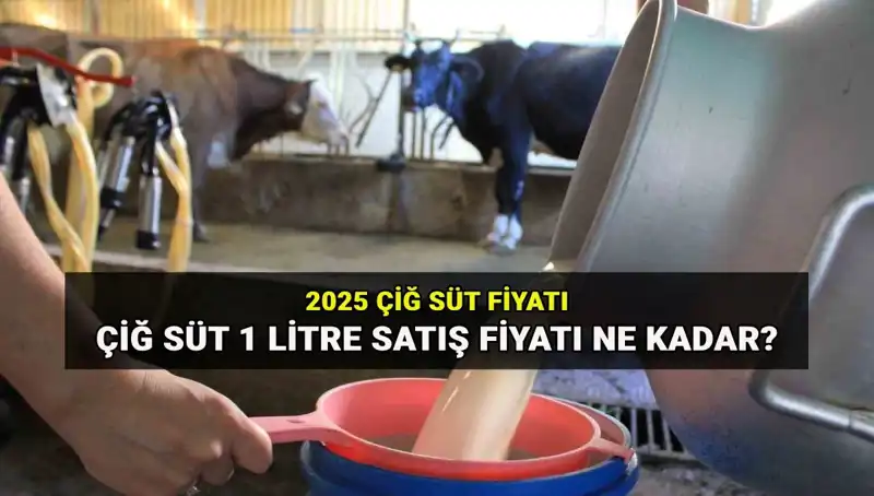 2025'te Çiğ Süt Fiyatları Ne Olacak? Ulusal Süt Konseyi Açıklıyor