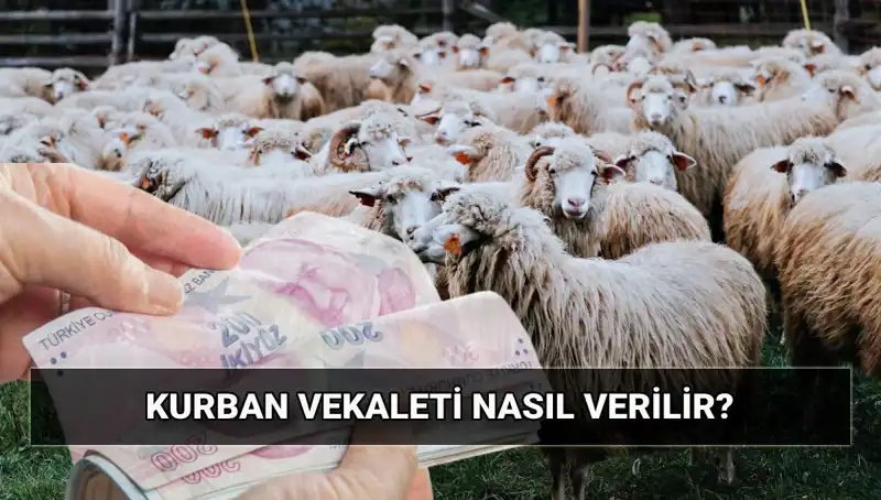 Vekaletle Kurban Kesimi: Merak edilenler ve Diyanet'in 2025 Ücretleri