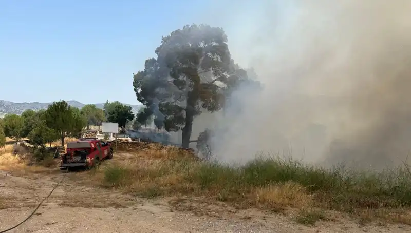 Muğla'daki Orman Yangını: Doğanın Kalbi Yanıyor, Önlemler Yetersiz mi?