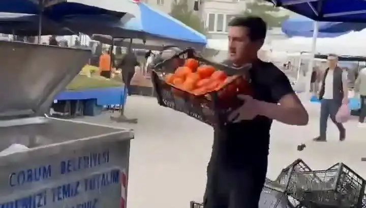 Domatesleri Çöpe Dökerek Rekor Ceza Alan Pazarcının Hikayesi