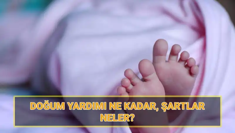 2025'te Doğum Parası ve Çocuk Parası Başvuru Şartları Neler?