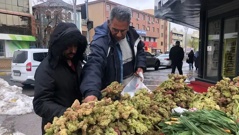 Kendiliğinden Yetişen Bir Mucize: Kanser Tedavisinde Umut Dolu Yeni Bir Vitamin Deposuna Merhaba Deyin