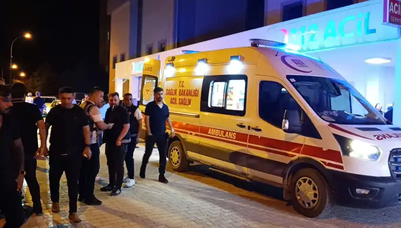 Kardeş Kavgasında Hayatını Kaybeden Genç: Dram Dolu Bir Gözyaşı
