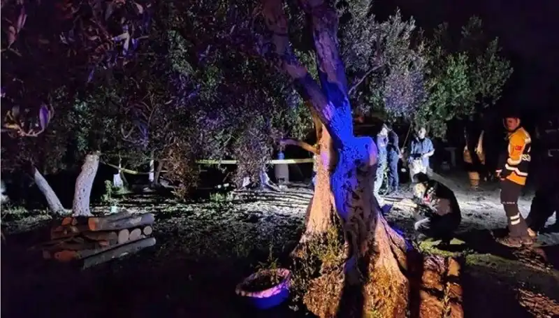 Çiftlikteki Şok Edici Vahşet Olayında Bir Tutuklama Gerçekleşti