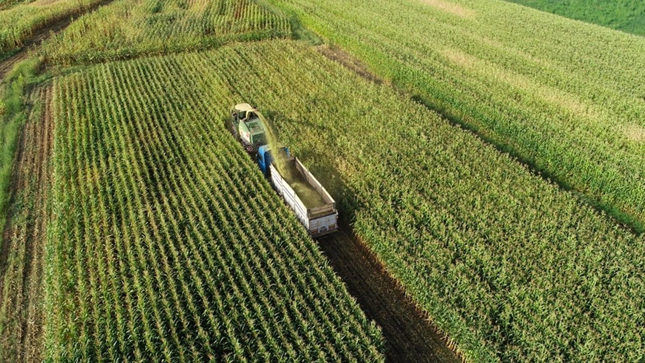 Üreticilere 2,3 milyar lira destekleme ödemesi yapılacak