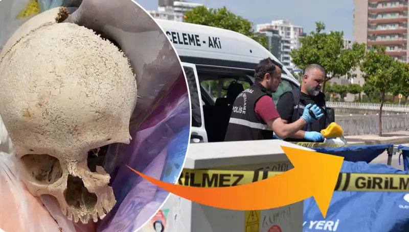 Çöp Alanında Bulunan Kafatasının Gizemi ve Şok Edici Gelişmeleri