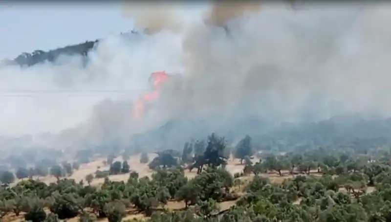 İzmir Orman Yangını: Doğa Felaketiyle Mücadelede Kıran Kırana Mücadele