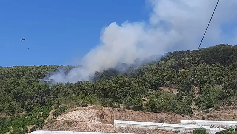 Kumluca'da Korkutan Orman Yangını: Ekipler Hızla Müdahale Etti