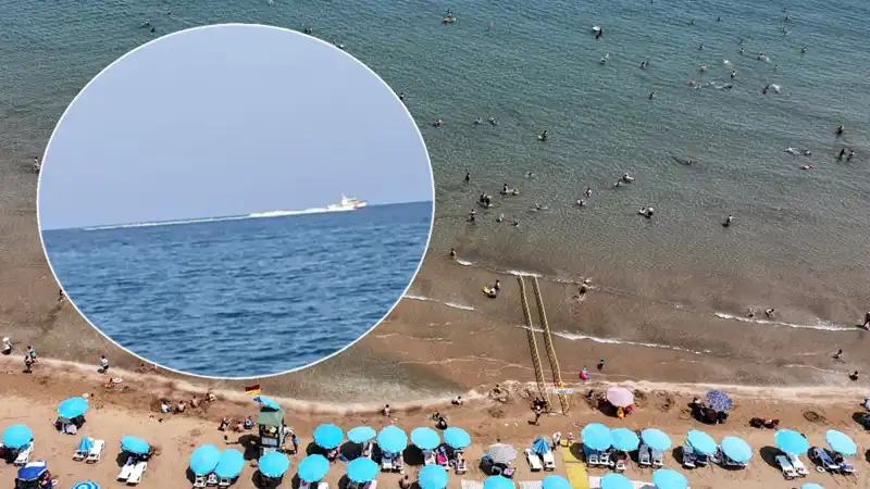 Plajda Köpek Balığı Korkusu: Tatilciler Ne Yapacak?