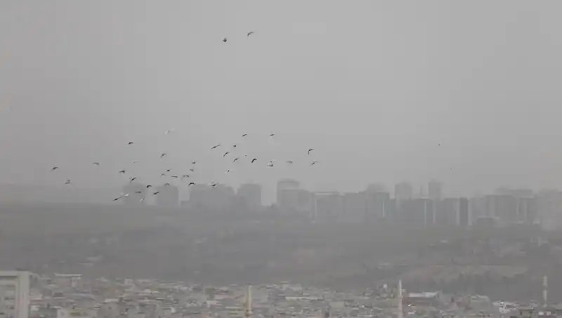 Şanlıurfa'da Toz Bulutu Hayatı Olumsuz Etkiledi: Kent Göz Göz Görünmüyor