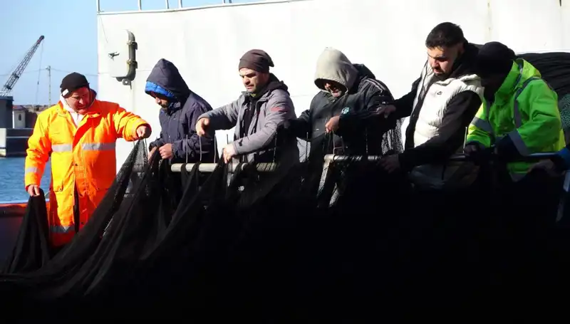 Denizlerde Hamsi Avı Sorunları: Tekneler Neden Erken Paydos Etti?