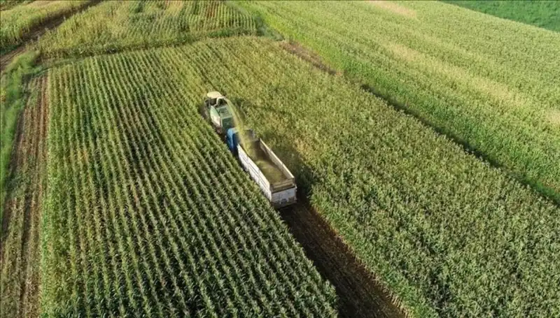 2025 Mart Ayı Mazot ve Gübre Desteği Ödemeleri Hakkında Merak Edilenler