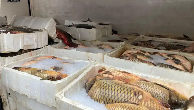 Kaçak Balık Avına Son! Binlerce Lira Ceza Geliyor
