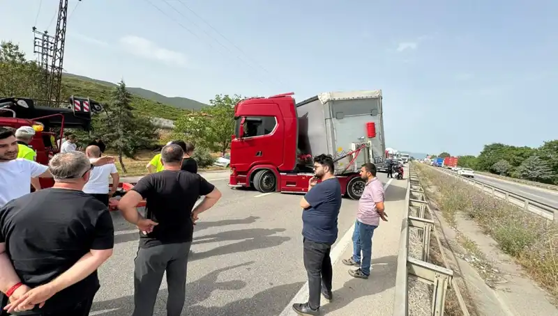 Seyir Halindeyken Arı Soktu: Araçta Yaşanan Şok Edici Olay Trafiği Felç Etti