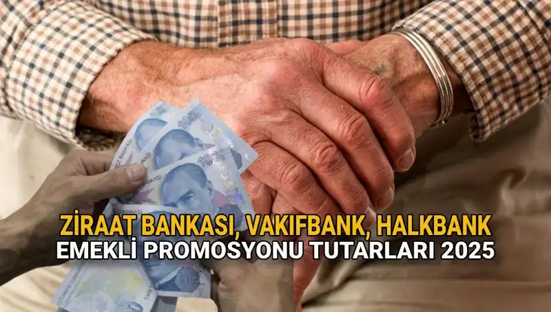 2025 Emekli Banka Promosyonu: Ziraat, Vakıfbank ve Halkbank Teklifleri