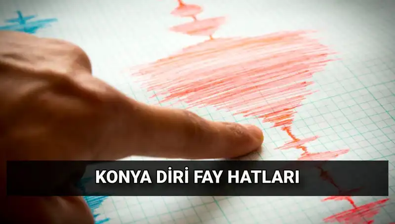 Konya'da Fay Hattı Var mı? Deprem Riski Hakkında Her Şey