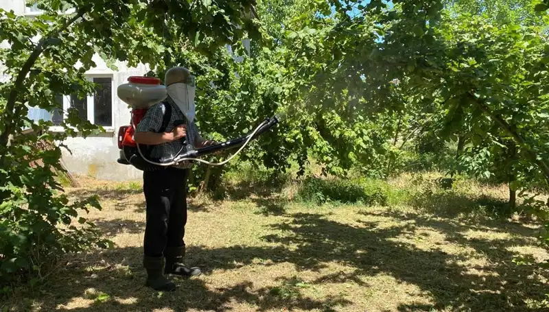 Kükürt ve Samuray Arısı: Çiftçilerin Umudu Mu?