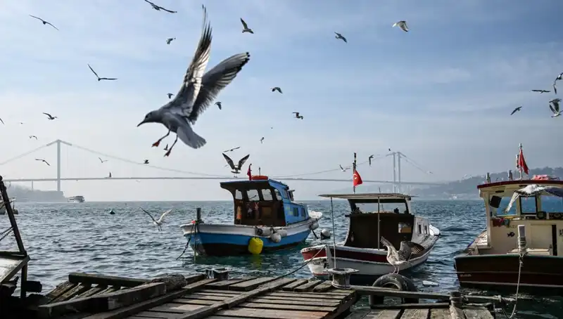İstanbul'da Bahar Havası: Hava Durumu Tarihleri Merakla Bekleniyor