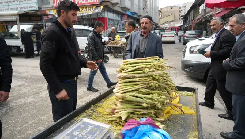 Dağlık Alanlardan Gelen Şeker: Kanser ve Mide Hastalıklarına İyi Geldiği İddia Ediliyor!