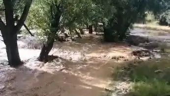 Mersin’de Beklenmeyen Yağışlar Sel Felaketine Dönüştü