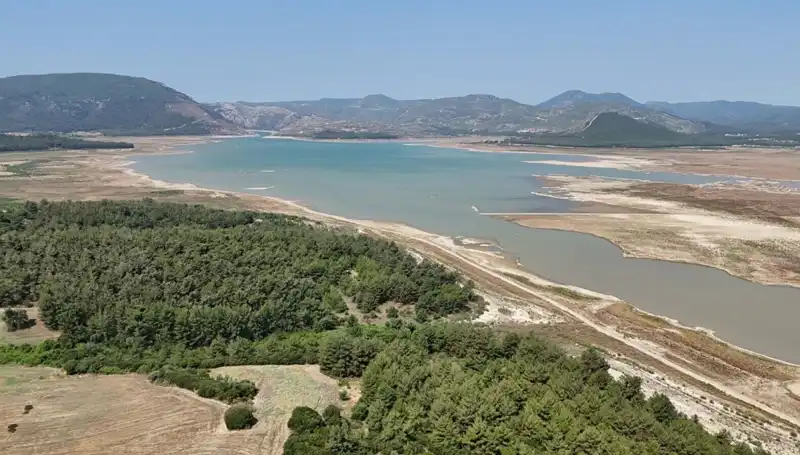 İzmir'de Ekonomik Zorluklar: Yüzde 50 Düşüşle Tehlike Çanları Çalıyor