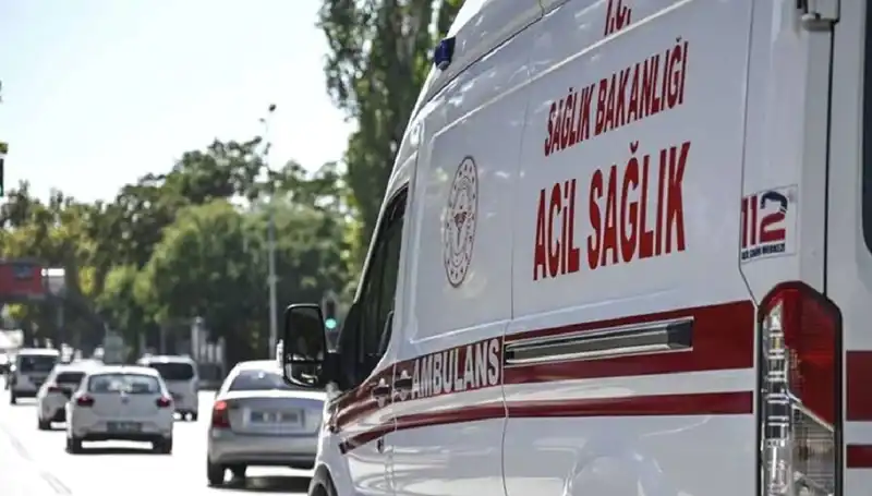 Böcek Saldırısı İle Apartman Tahliyesi: Mangalda Pul Biber İle Fırtına Koptu!