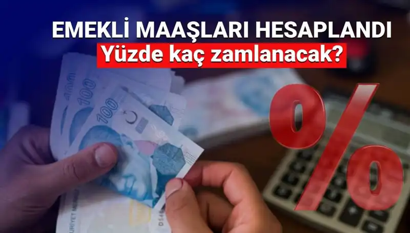 Emekli Zamları Hakkında Son Gelişmeler: Beklentiler ve Müjdeli Haberler