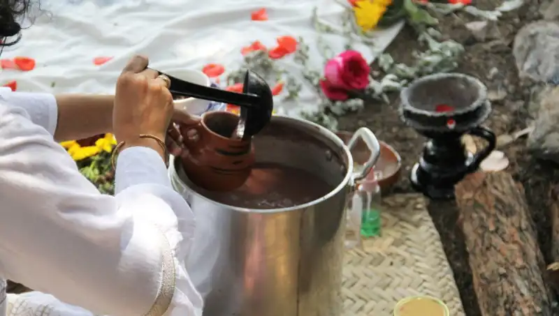 Ayahuasca: Gizemli Çayın Faydaları ve Yasal Durumu