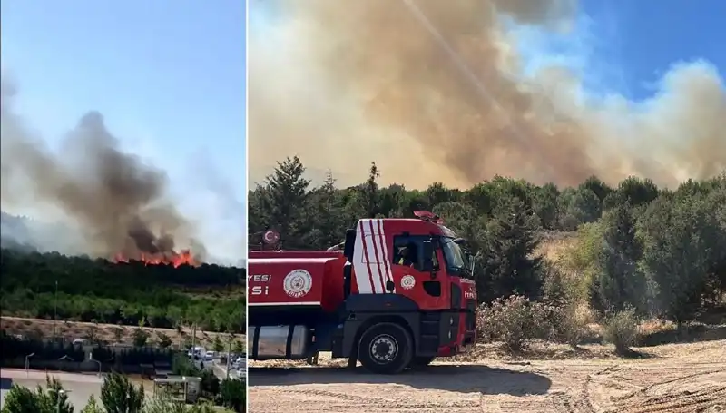 Gebze'de Korkutan Orman Yangını: Sebepleri ve Sonuçları Neler?
