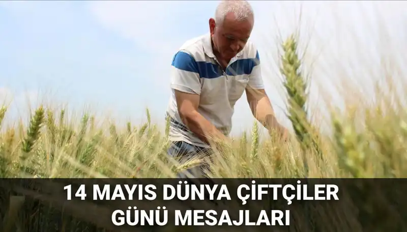 Dünya Çiftçiler Günü’nde Çiftçilerin Değeri: Emeğin ve Toprağın Kutsallığı