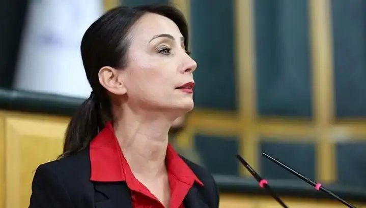 Öcalan'ın Silah Bırakma Çağrısı: DEM Parti Siyasi Turu Başlıyor!
