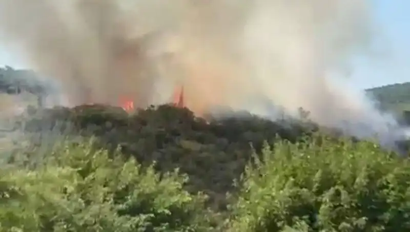 İstanbul'da Orman Yangını: Vatandaşlar Acil Olarak Tahliye Edildi