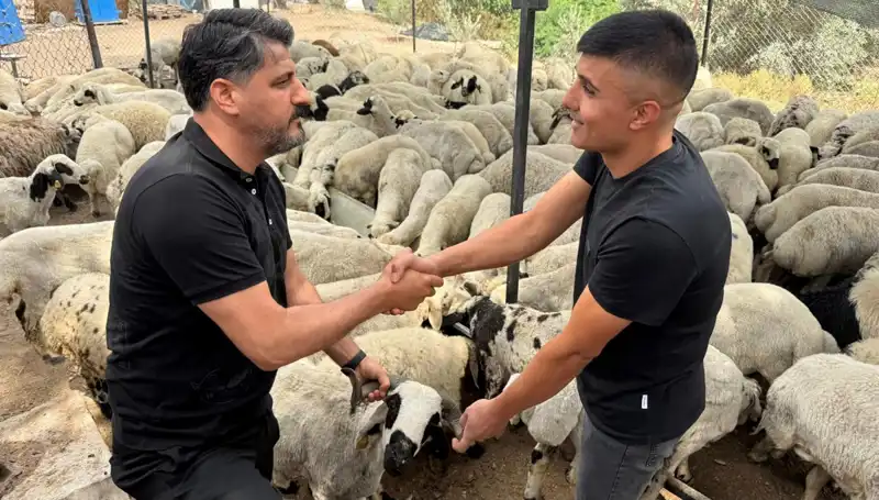 Kurbanlık Hayvan Alırken Bilinmesi Gereken 5 Önemli İpucu
