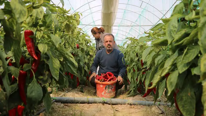 Fiyat Artışları: 50 Lira Olan Ürün 80 TL'ye Satılmaya Başlandı!