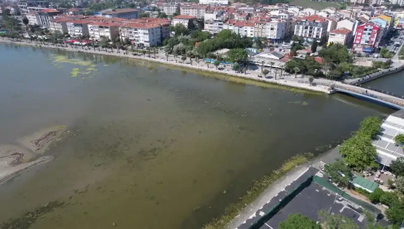 Marmara Denizi'nde Tehlikeli Gelişmeler: Uzmanlar Uyarıyor!