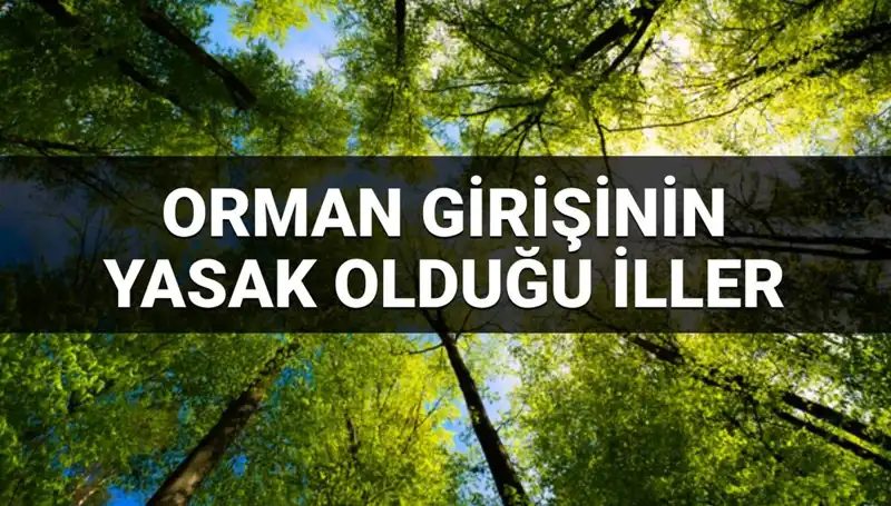 2025'te Hangi İllerde Ormana Girmek Yasak? Öğrenin!