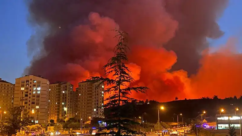 Bursa'da Yangınlar Şehre Dolaştı: Nedenleri ve Sonuçları Neler?