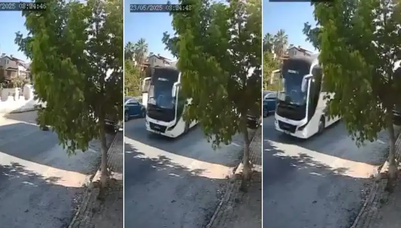 Yolda Yatan Köpeği Ezip Geçen Sürücü ile İlgili Gelişmeler