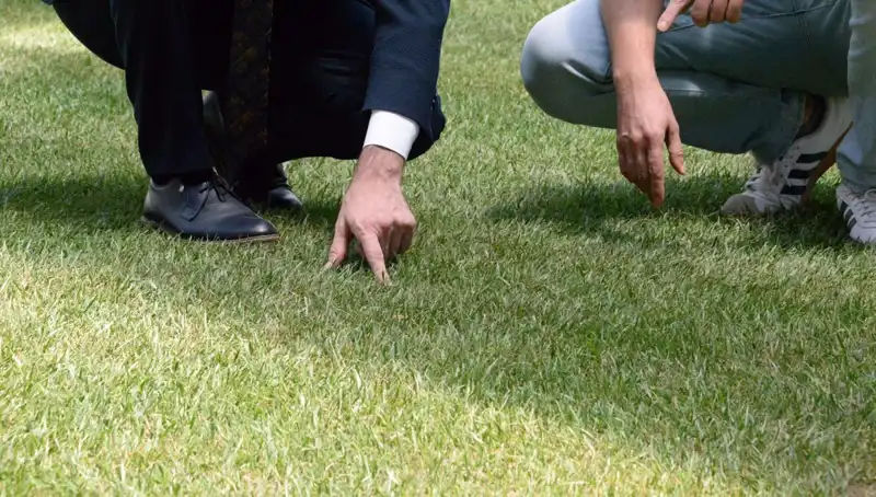Stadyum Zeminindeki Tartışmalar: Son Durum ve Beklentiler
