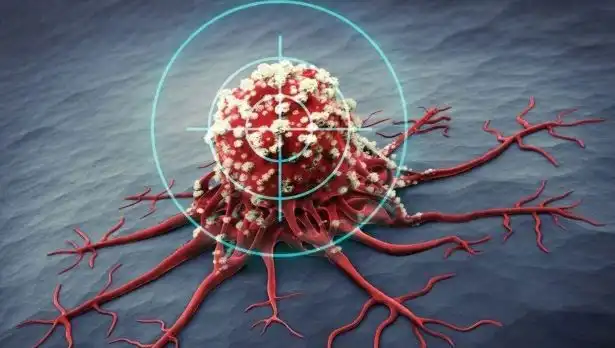 Prostat Kanseriyle Mücadelede Etkili 6 Besin: Sağlıklı Yaşam İçin İpuçları