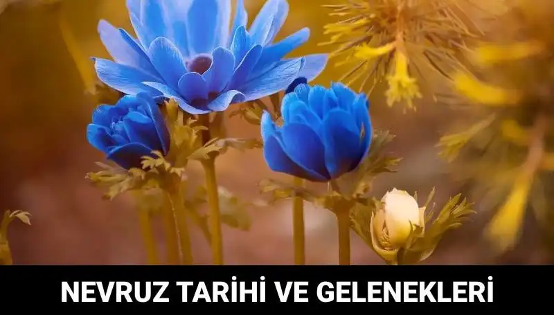 Nevruz Bayramı: Gelenekler, Kutlamalar ve Anlamı Hakkında Her Şey