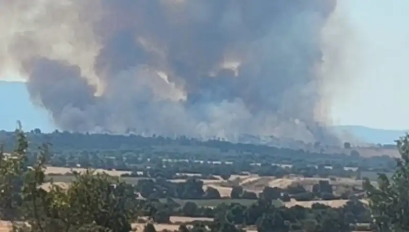 Edirne'de Komşu Orman Yangını Şehri Dumanla Kapladı
