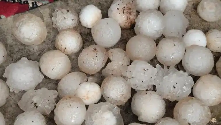Şanlıurfa'da Şok Etkisi Yaratan Kar Topu Büyüklüğünde Dolu Yağışı