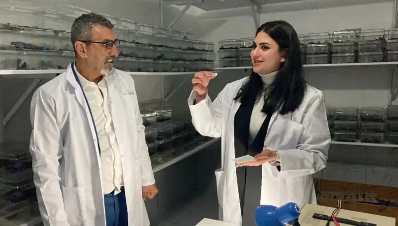 Akrep Zehri ile Şekerin Sıra Dışı Buluşması: Efsanevi Lezzet mi?