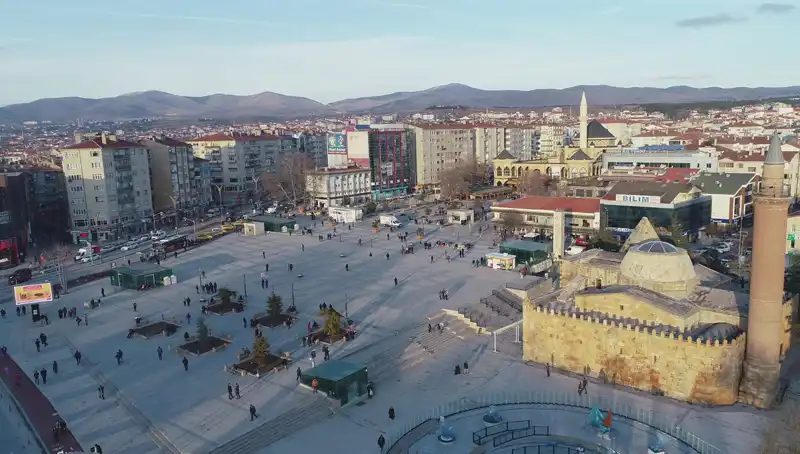 Kırşehir'de Keşfedilen Yeni Böcek Türü Bilim Dünyasında Heyecan Yarattı